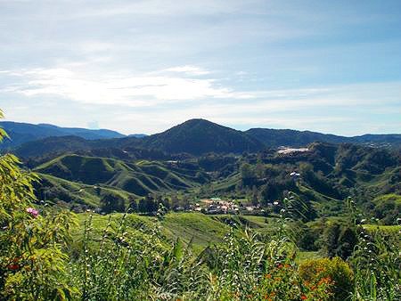 cameron highlands malaysia