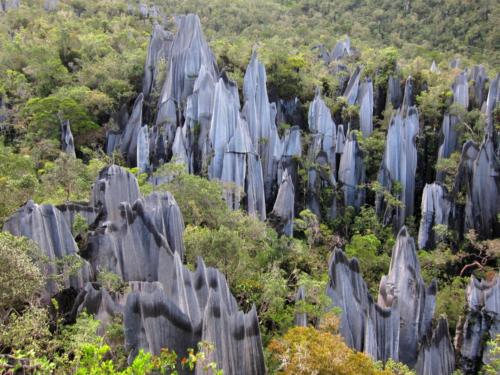 The Pinnacles in Gunung Mulu Park, Borneo