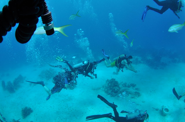 work as a scuba dive instructor to earn money abroad