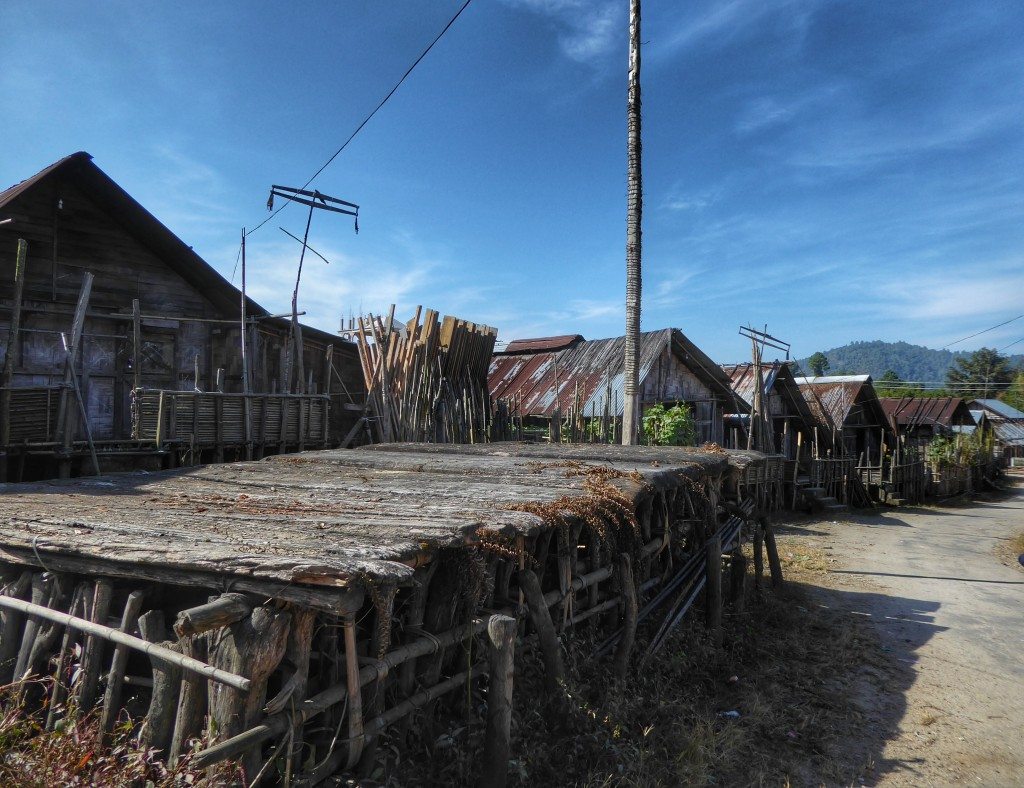 P1020214-01