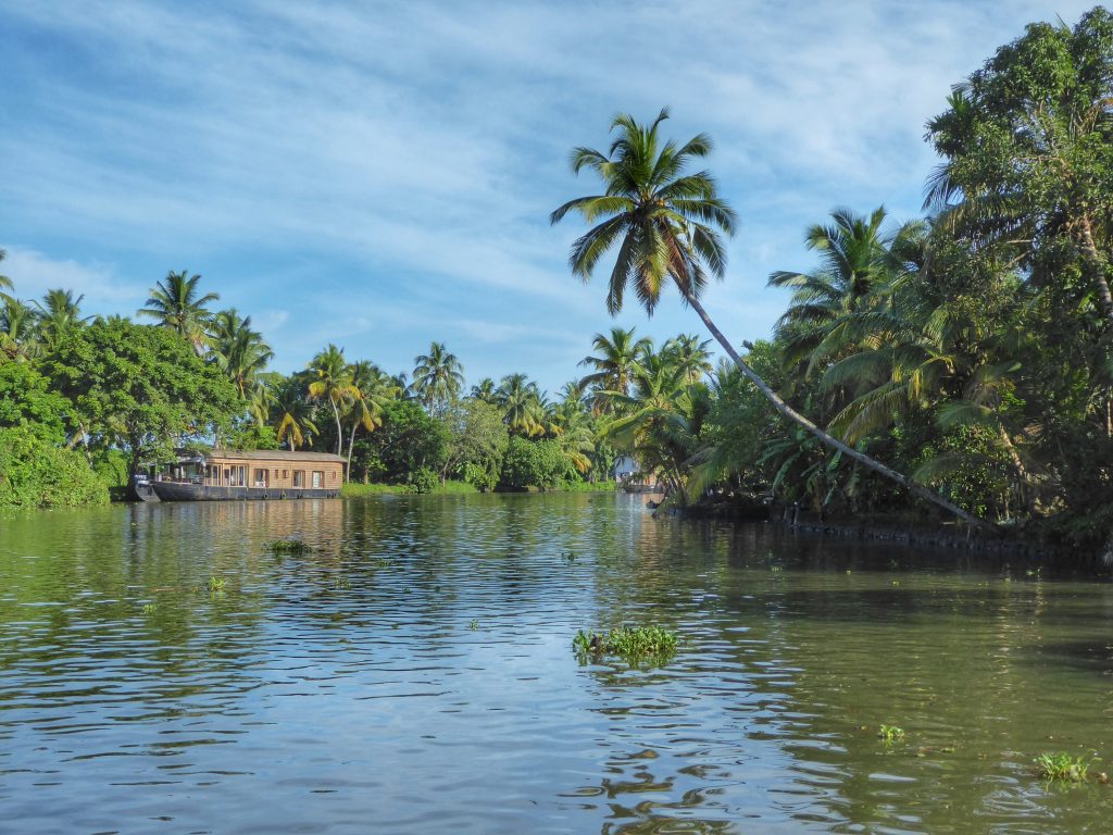 The backwaters of Kerala - a complete contrast to the chaos of India's cities and a great place to get acclimatized to India!