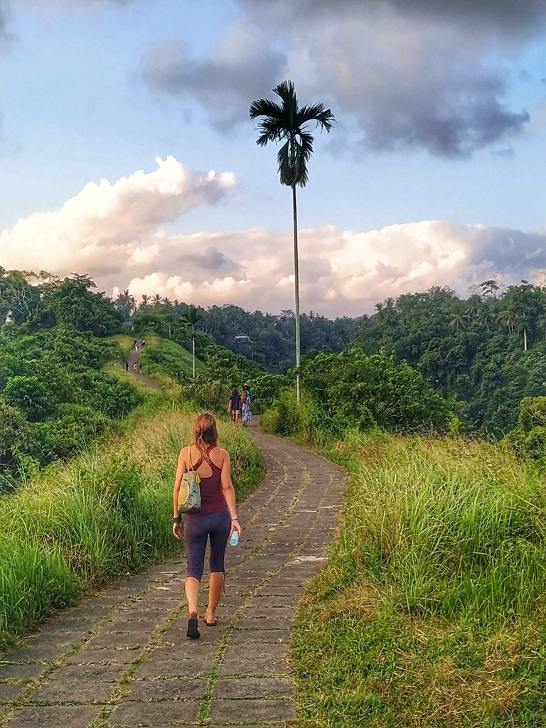 Campuhan Ridge Walk