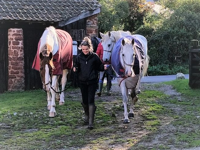 exmoor UK riding holidays horses