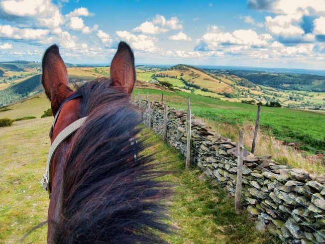 spring hill farm horse riding in wales countryside