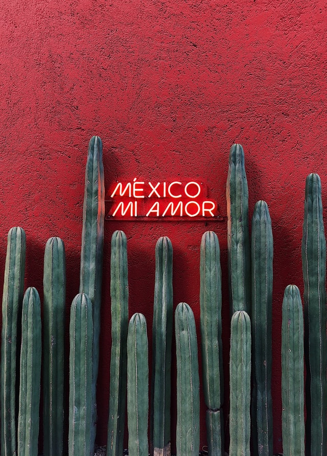 mexico city mexico mi amor