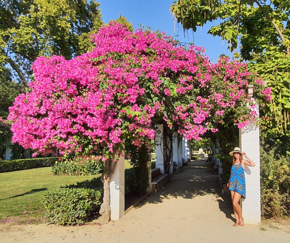 anna pink flowers