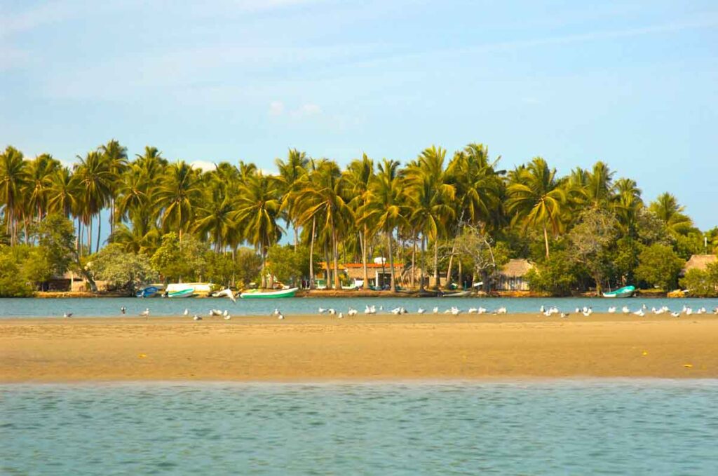Puerto Escondido Mexico Chacahua lagoon