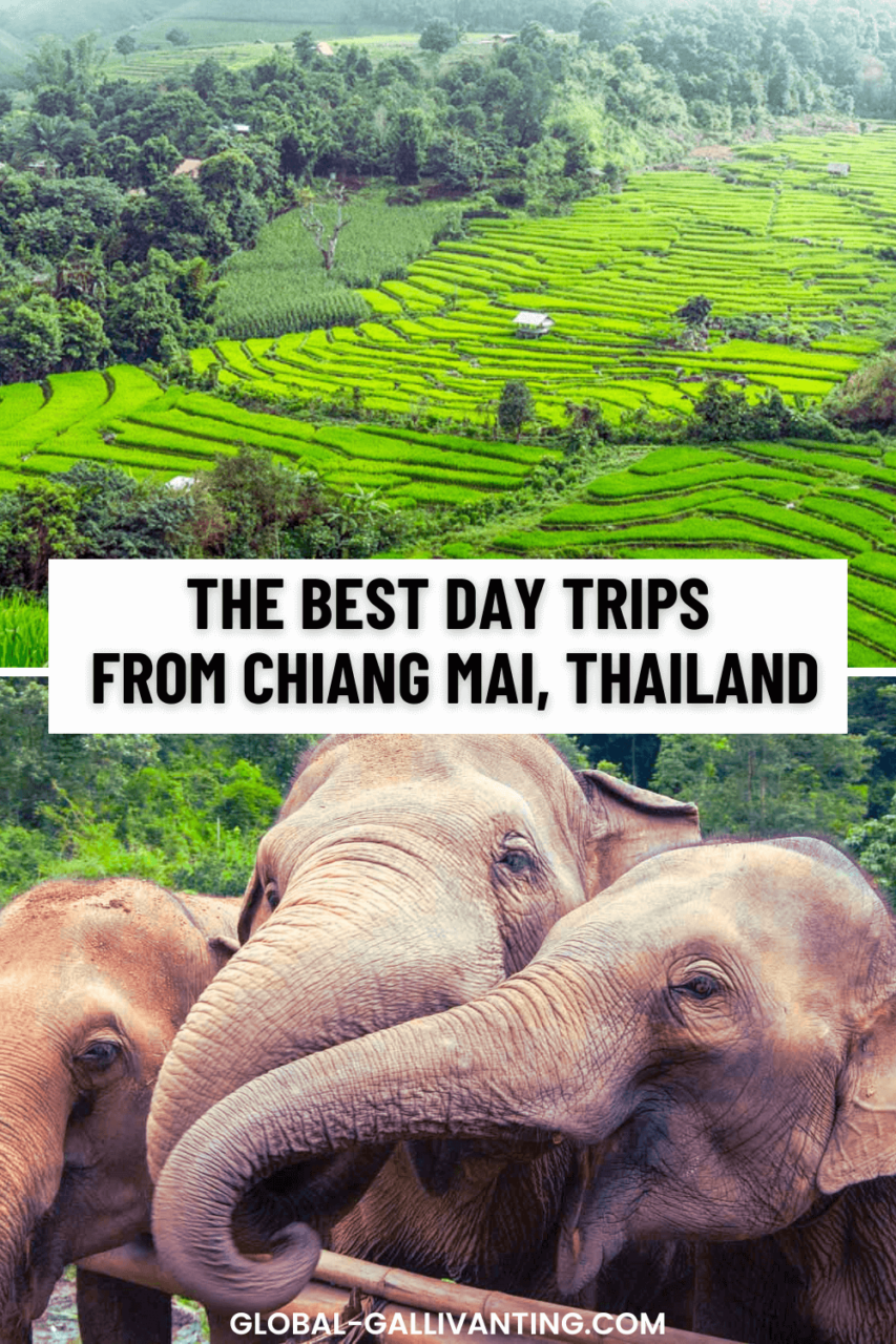 day trips from chiang mai pin