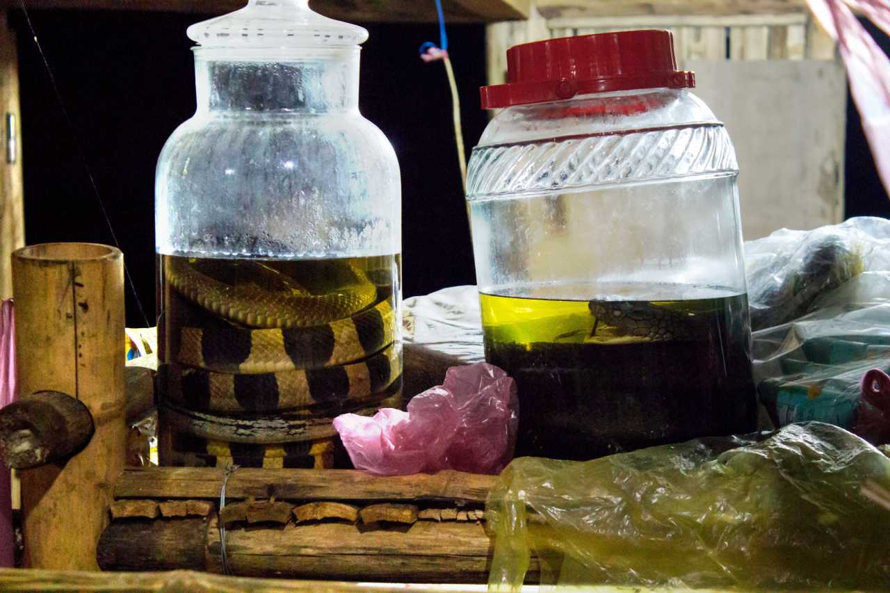 Snakes in jars