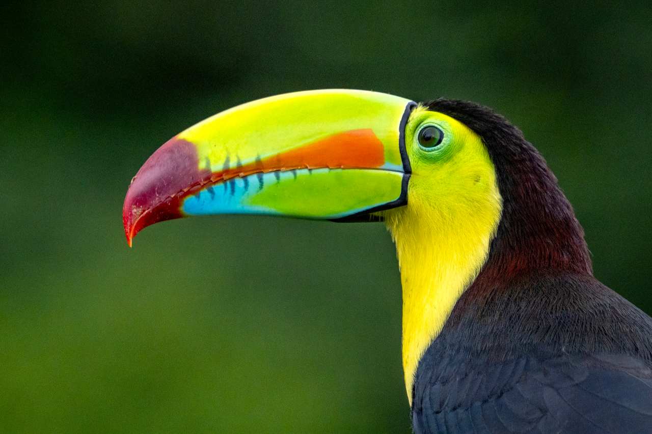 Costa Rica